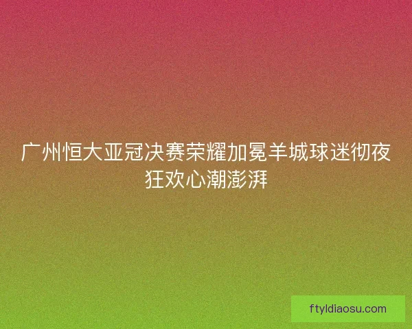 广州恒大亚冠决赛荣耀加冕羊城球迷彻夜狂欢心潮澎湃